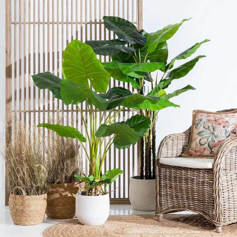 Decorative Plant 75 x 60 x 155 cm Green...
