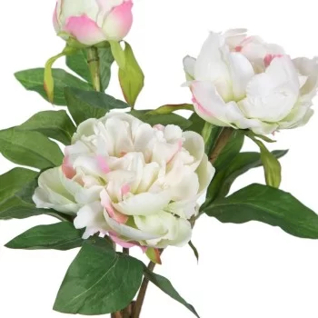 Decorative Plant 24 x 20 x 38 cm Cream Peony 2