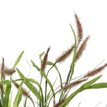 Decorative Plant 45 x 40 x 74 cm Green PVC 2