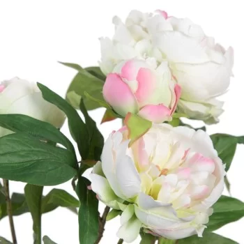 Decorative Plant 36 x 30 x 44 cm Cream Peony 2