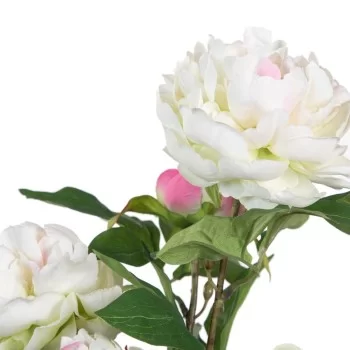 Decorative Plant 34 x 30 x 59 cm Cream Peony 2