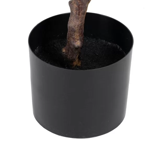 Decorative Plant 67 x 62 x 100 cm Green Natural rubber PVC