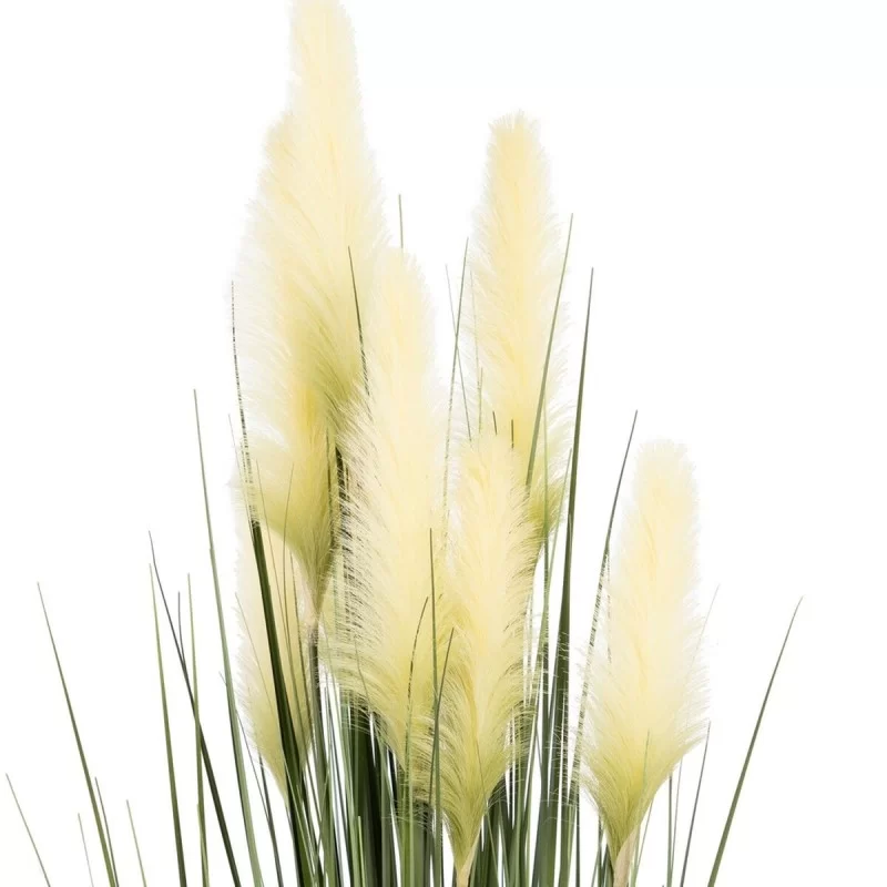 Decorative Plant 57 x 53 x 150 cm Green Cream PVC