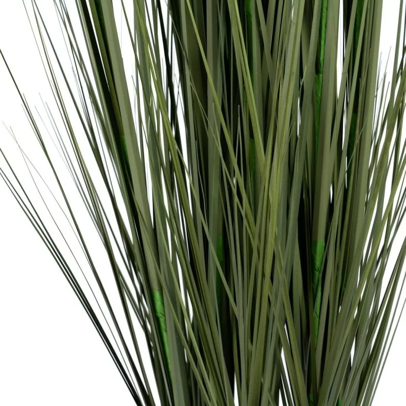 Decorative Plant 57 x 53 x 150 cm Green Cream PVC