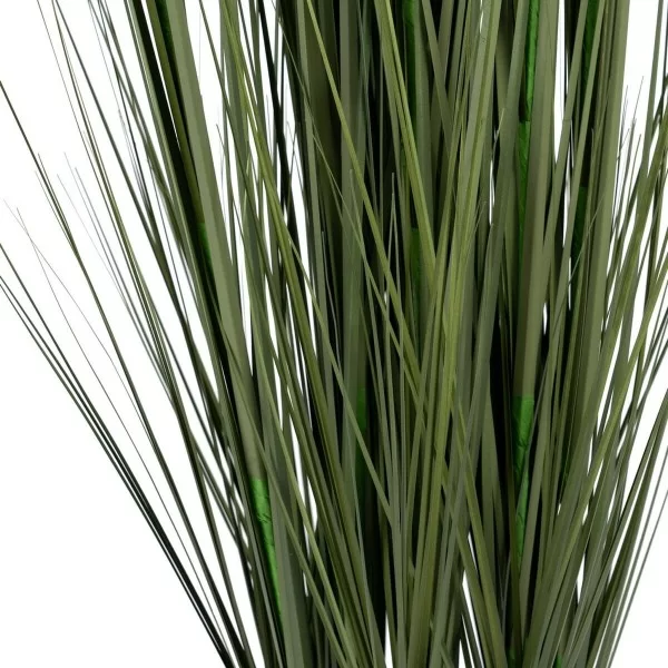 Decorative Plant 57 x 53 x 150 cm Green Cream PVC