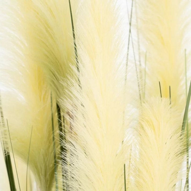 Decorative Plant 57 x 53 x 150 cm Green Cream PVC