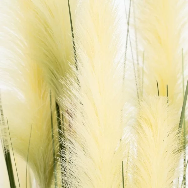 Decorative Plant 57 x 53 x 150 cm Green Cream PVC