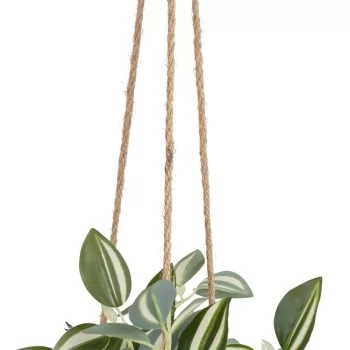Decorative Plant 24 x 35 x 25 cm White Green PVC 2