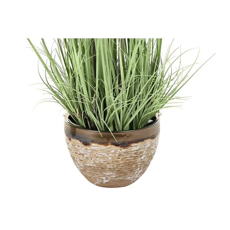 Decorative Plant DKD Home Decor 30 x 30 x 78 cm...
