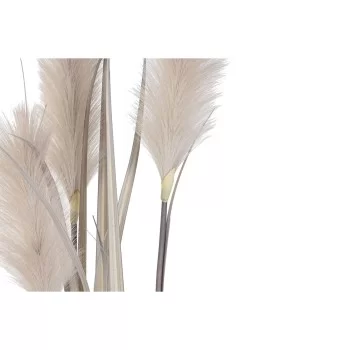Decorative Plant DKD Home Decor Brush (Refurbished A)