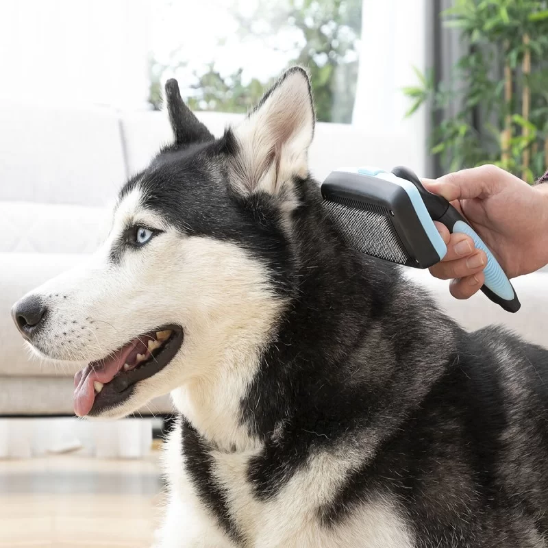 Cleaning Brush for Pets with Retractable...