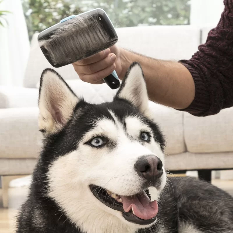 Cleaning Brush for Pets with Retractable...