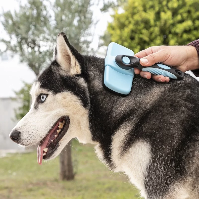 Cleaning Brush for Pets with Retractable...