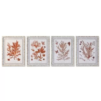 Painting DKD Home Decor 50 x 2,8 x 65 cm Coral (4 Pieces)