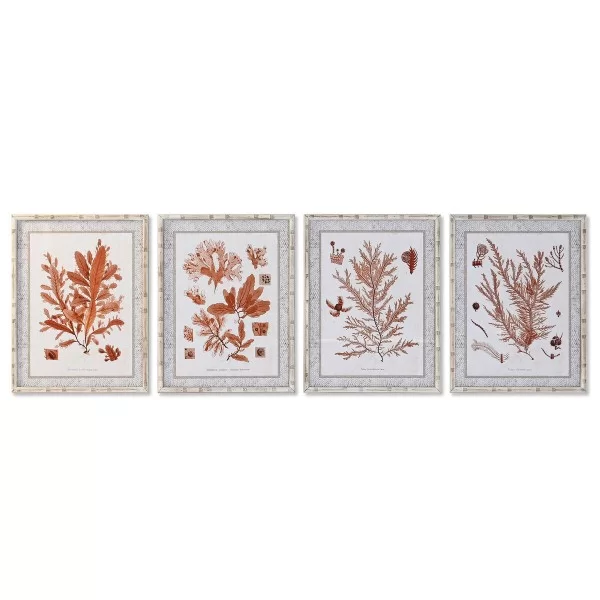 Painting DKD Home Decor 50 x 2,8 x 65 cm Coral (4 Pieces)