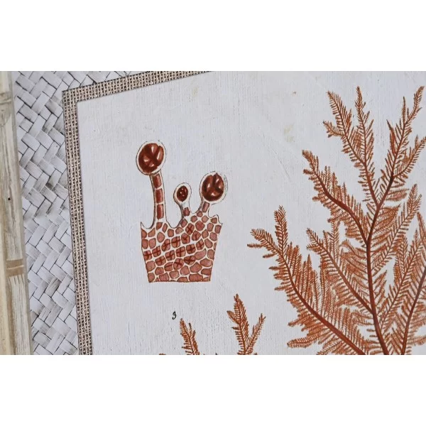 Painting DKD Home Decor 50 x 2,8 x 65 cm Coral (4 Pieces)