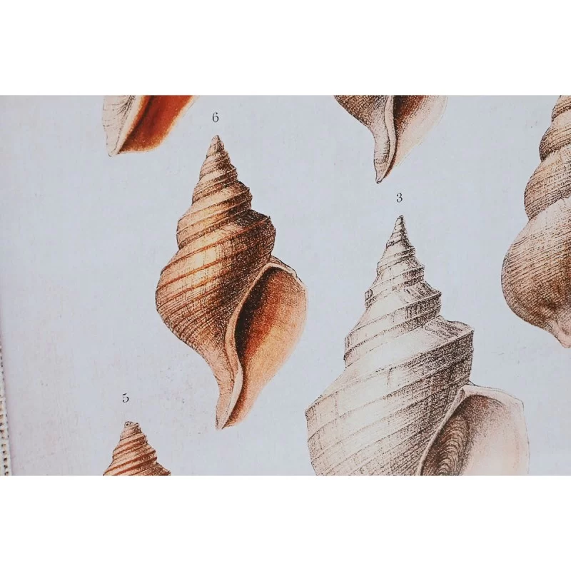 Painting DKD Home Decor 50 x 2.5 x 70 cm 50 x...