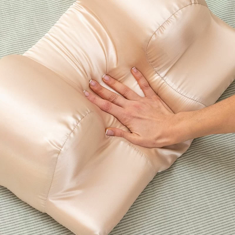 Anti-Wrinkle Neck Pillow with Satin Cover...