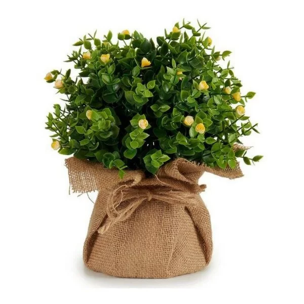 Decorative Plant Plastic 22 x 28 x 22 cm