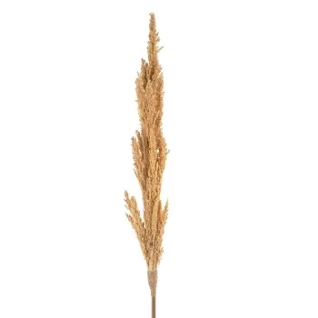 Branch Cream 7 x 7 x 190 cm 2