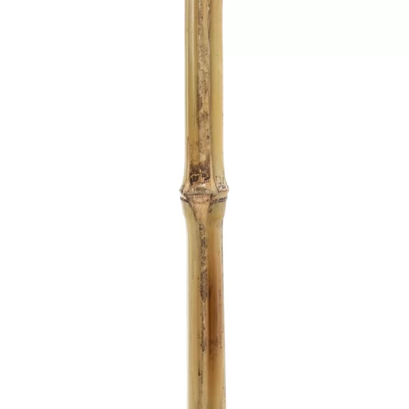 Branch Natural Sheet 43 x 1 x 200 cm