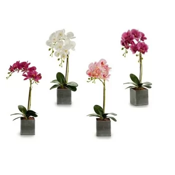 Decorative Flower Orchid Plastic 14 x 51 x 18 cm (6 Units) 2