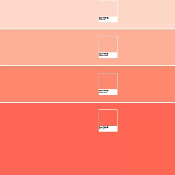 Nordic cover Ombre B Pantone