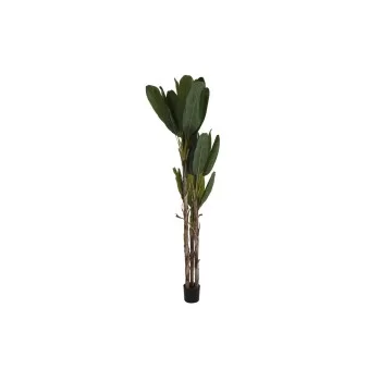 Decorative Plant DKD Home Decor Banana plant (90 x 90 x...