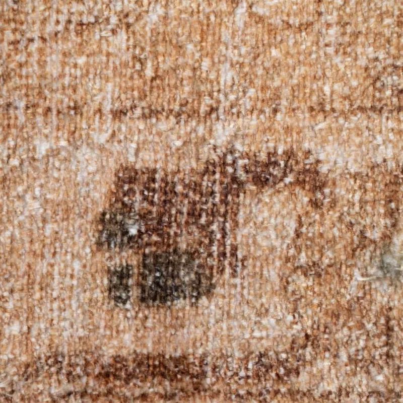 Carpet 200 x 300 cm Cotton