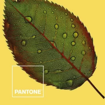 Bedding set Nature Pantone 2