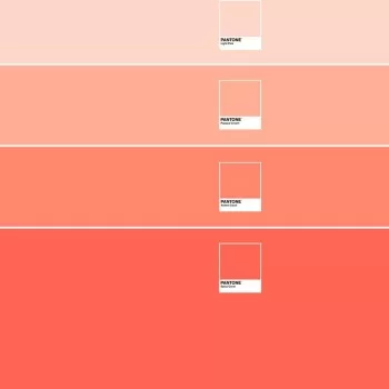 Bedding set Ombre B Pantone 2