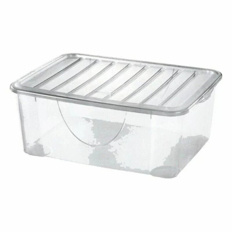 Storage Box with Lid Tontarelli Dodo's (36 x...