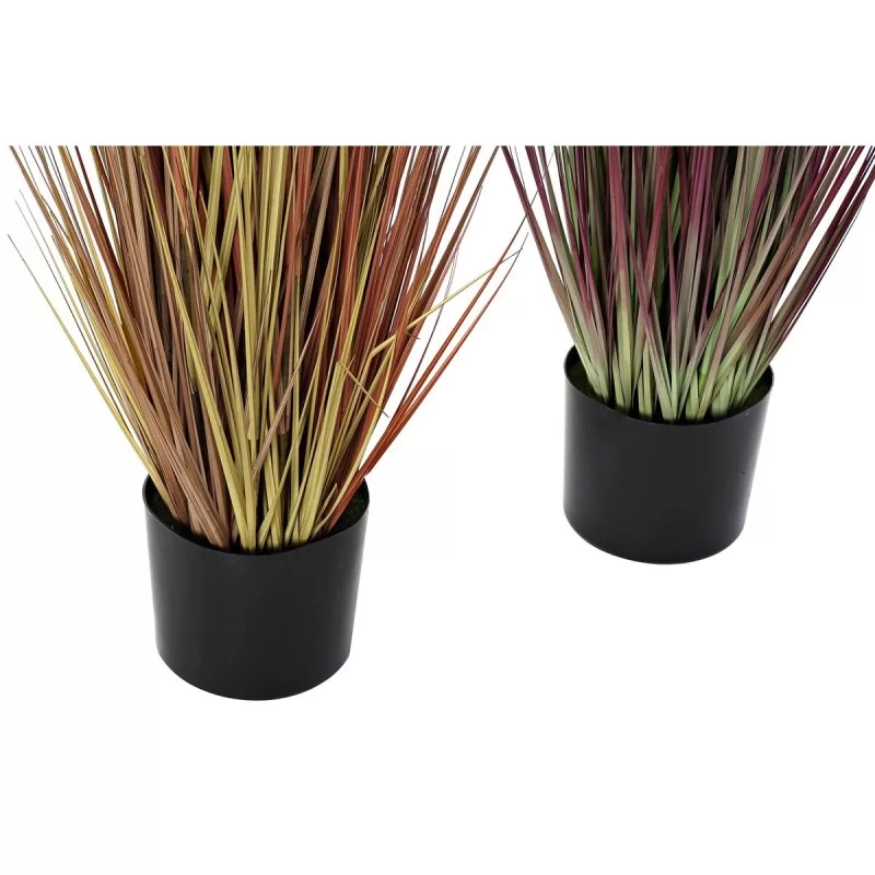 Decorative Plant DKD Home Decor Orange...