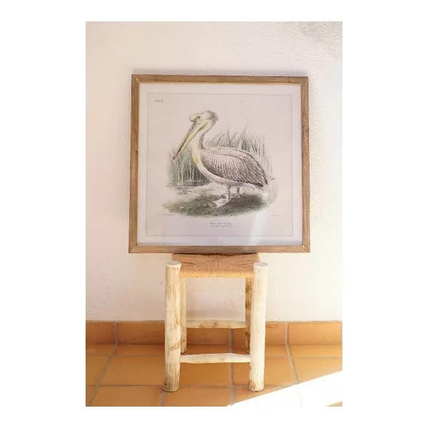 Painting DKD Home Decor Pelican Bird 60 x 2 x 60 cm (2 Units)