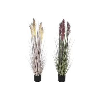 Decorative Plant Home ESPRIT PVC Polyethylene 35 x 35 x...