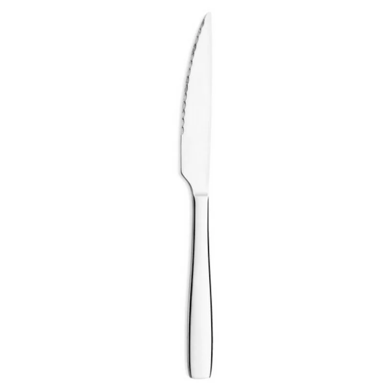 Knife Set Amefa Hotel 2 Units (29 cm)