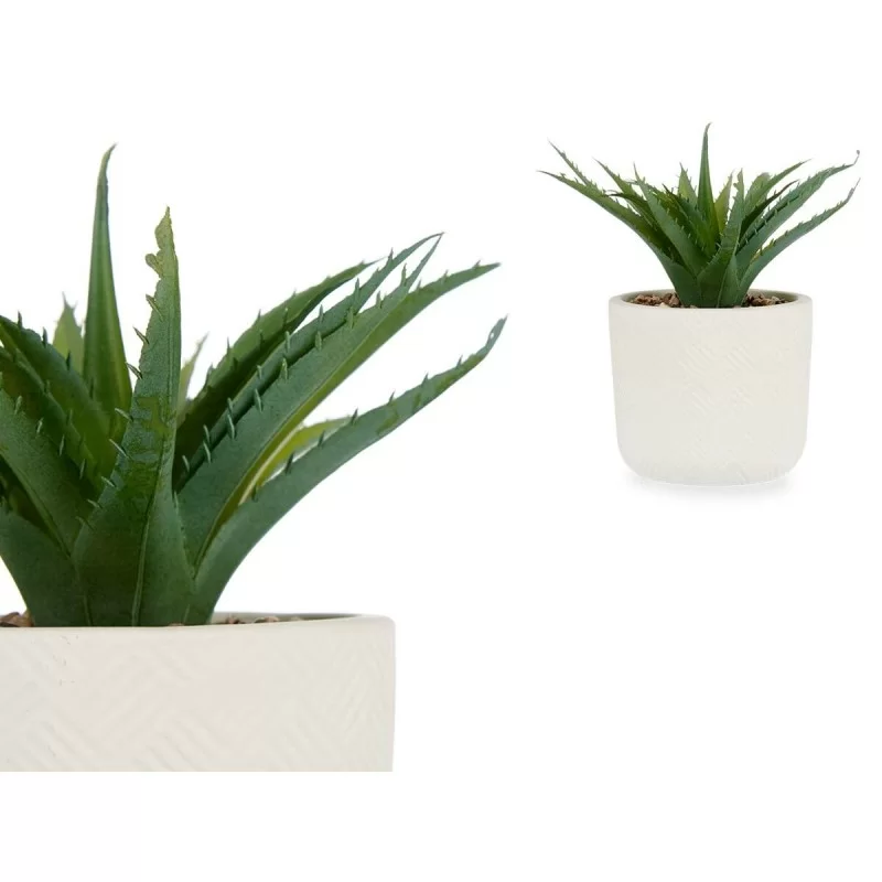 Decorative Plant Succulent Plastic 14 x 18 x 14...