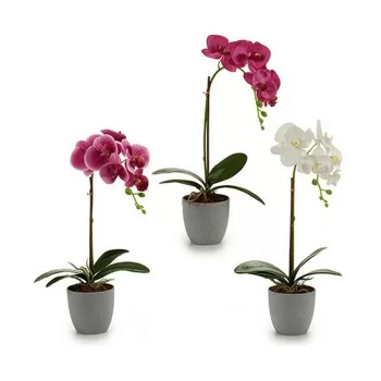 Decorative Plant Orchid Plastic 13 x 39 x 22 cm (6 Units) 2