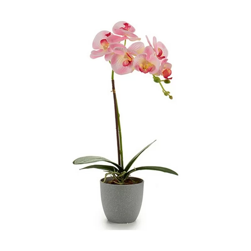Decorative Plant Orchid Plastic 13 x 39 x 22 cm...