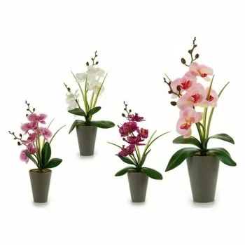 Decorative Plant Orchid Plastic 8 x 35 x 14 cm (12 Units) 2