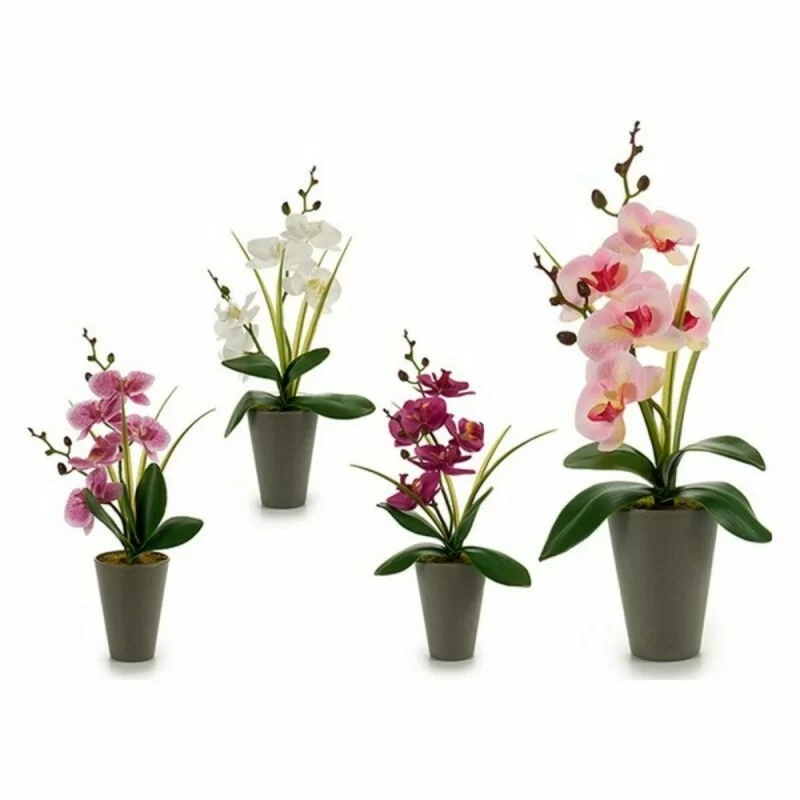 Decorative Plant Orchid Plastic 8 x 35 x 14 cm...