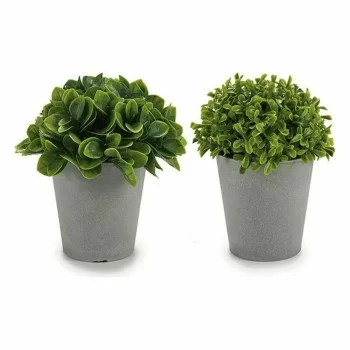 Decorative Plant Plastic 13 x 17 x 13 cm (12 Units) 2