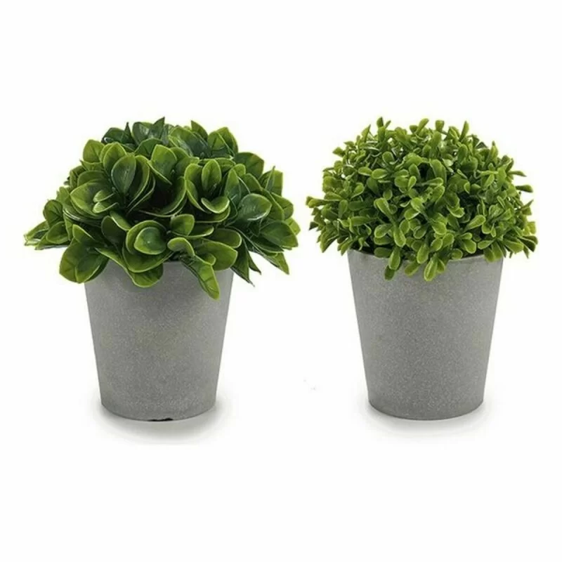 Decorative Plant Plastic 13 x 17 x 13 cm (12...
