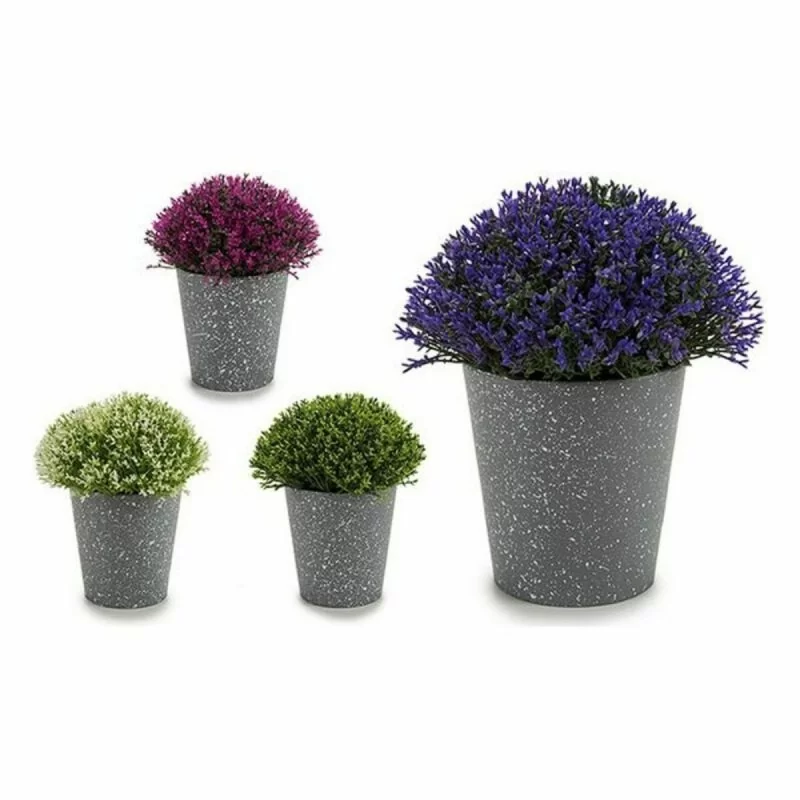 Decorative Plant Plastic 14 x 15 x 14 cm (12...