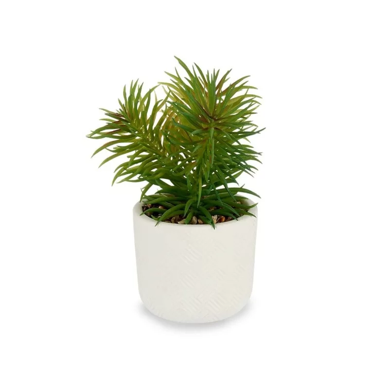 Decorative Plant White Green (14 x 20 x 14 cm)...