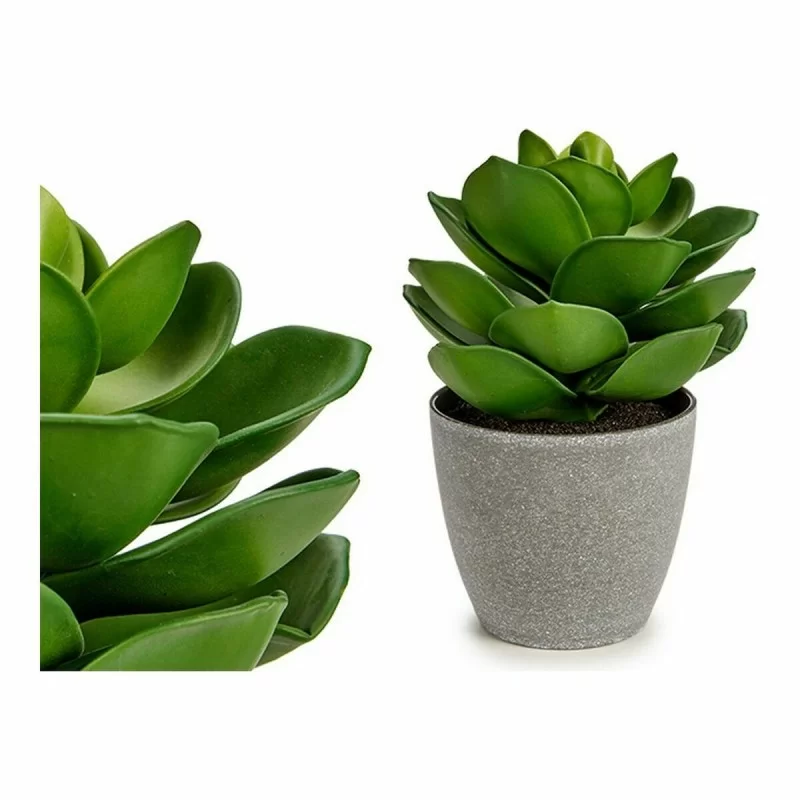 Decorative Plant Grey Green (16 x 21 x 16 cm)...