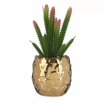 Decorative Plant Ceramic Golden Cactus Green Plastic 6 Units 2