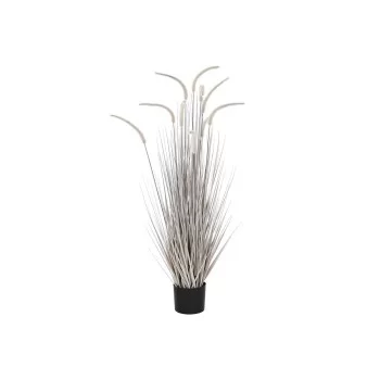 Decorative Plant DKD Home Decor Light grey (Refurbished B) 2