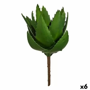 Decorative Plant Aloe Vera 13 x 24,5 x 14 cm Green...
