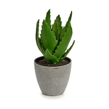 Decorative Plant Aloe Vera 14 x 21 x 14 cm Grey Green... 2